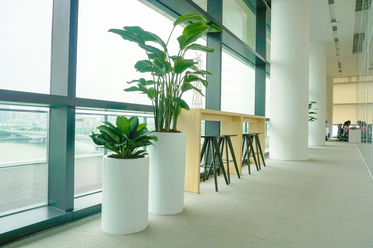 9001cc��ɳ�Գ�Ϊ��(�й�����)-�ٷ���վ