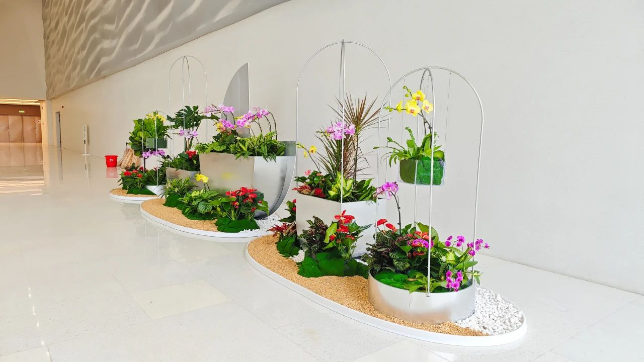 9001cc��ɳ�Գ�Ϊ��(�й�����)-�ٷ���վ