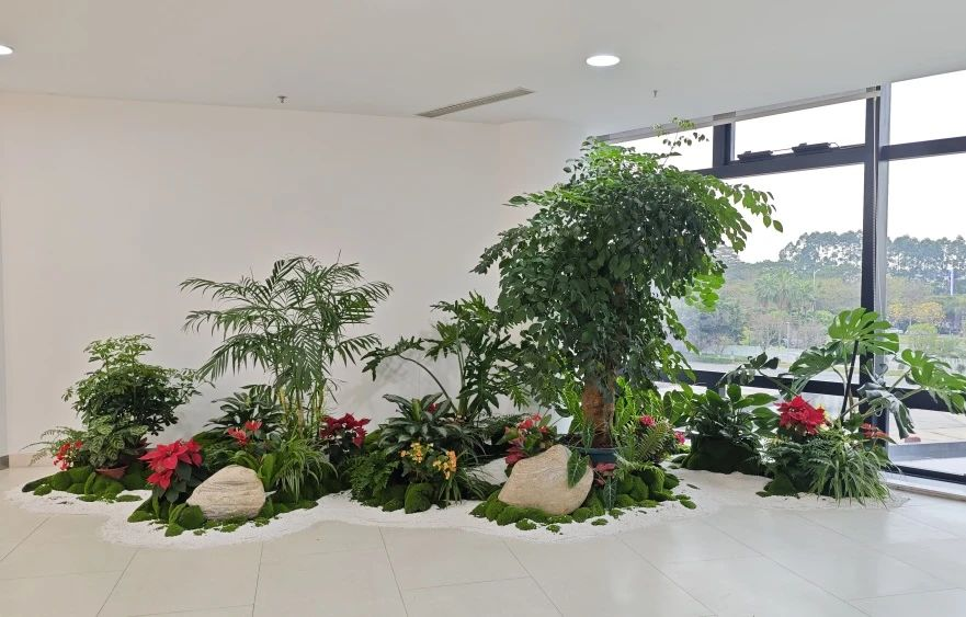 9001cc��ɳ�Գ�Ϊ��(�й�����)-�ٷ���վ