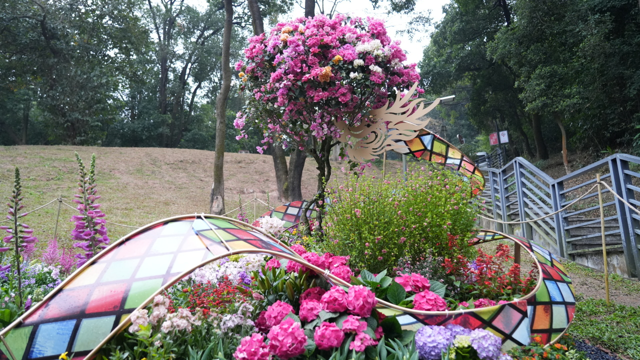 9001cc��ɳ�Գ�Ϊ��(�й�����)-�ٷ���վ