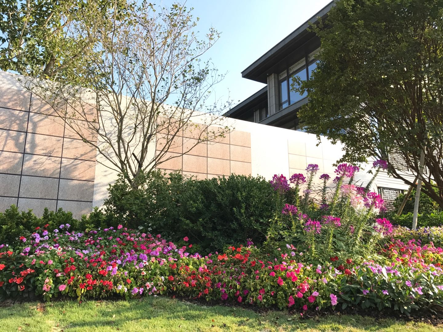 9001cc��ɳ�Գ�Ϊ��(�й�����)-�ٷ���վ