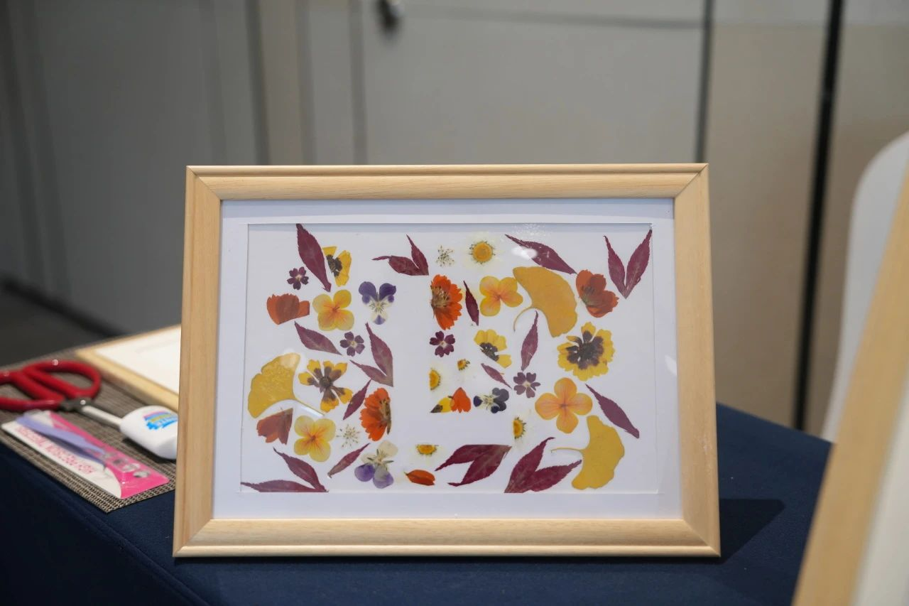 9001cc��ɳ�Գ�Ϊ��(�й�����)-�ٷ���վ