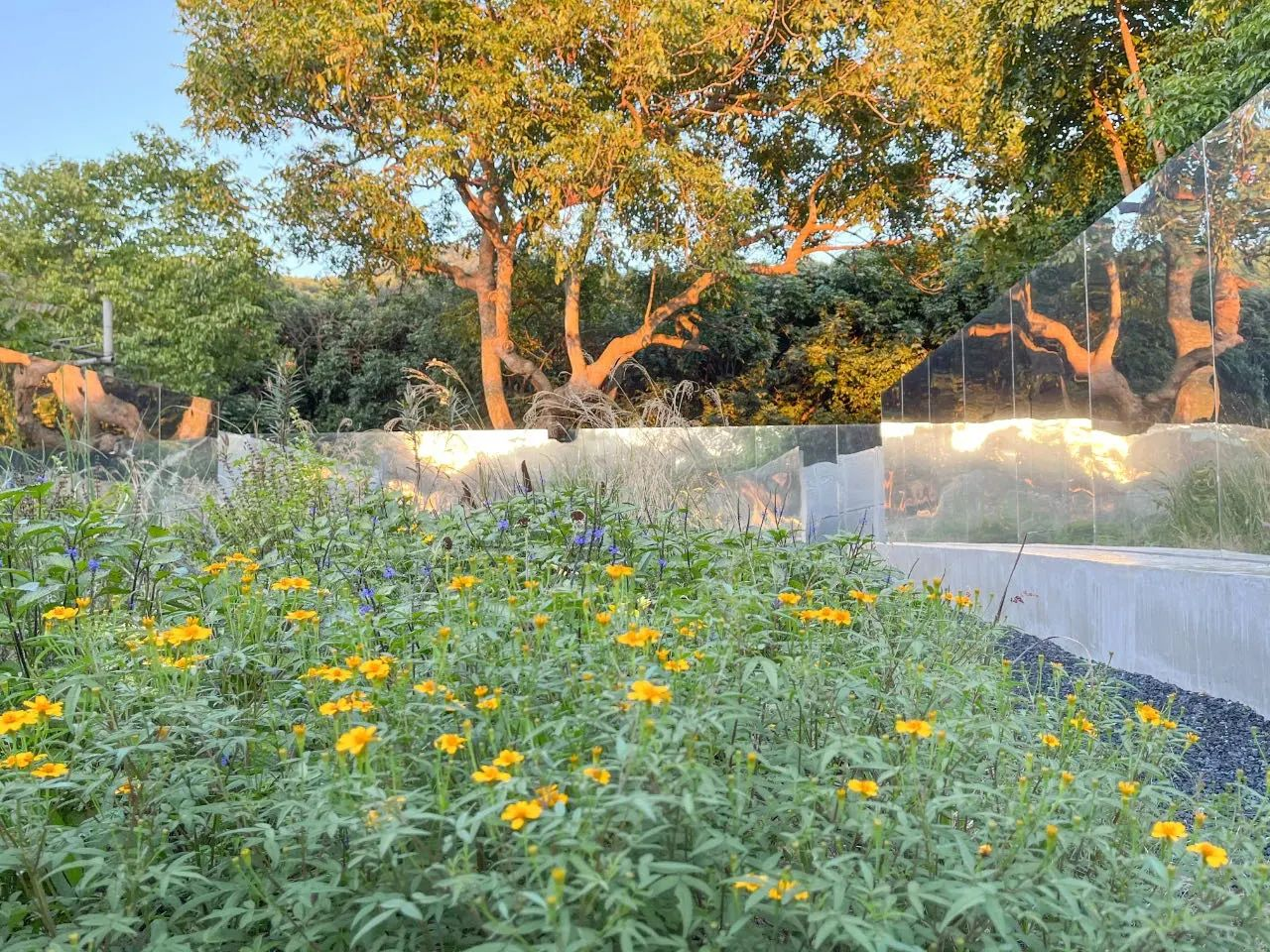 9001cc��ɳ�Գ�Ϊ��(�й�����)-�ٷ���վ