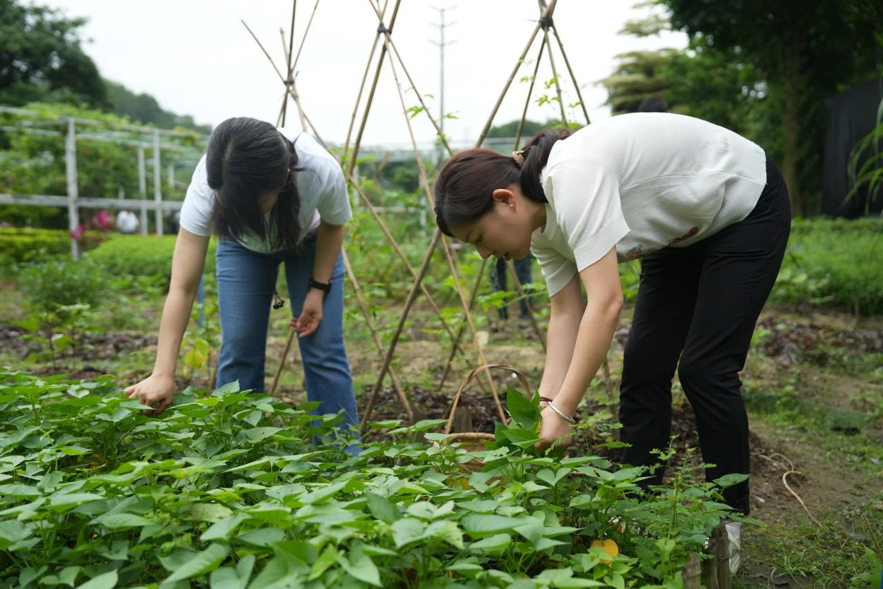 9001cc��ɳ�Գ�Ϊ��(�й�����)-�ٷ���վ