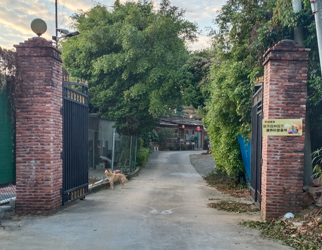 9001cc��ɳ�Գ�Ϊ��(�й�����)-�ٷ���վ