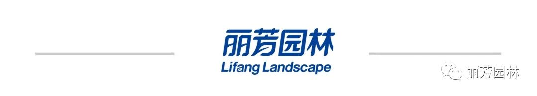 9001cc��ɳ�Գ�Ϊ��(�й�����)-�ٷ���վ