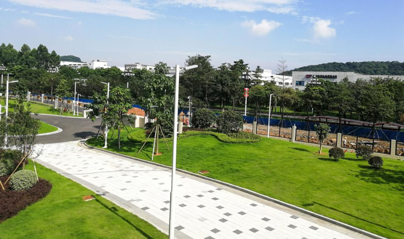 9001cc��ɳ�Գ�Ϊ��(�й�����)-�ٷ���վ