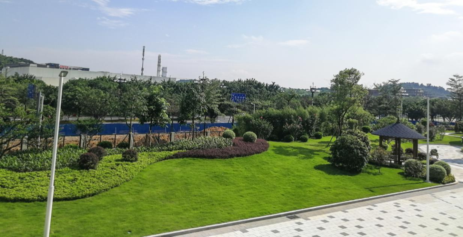 9001cc��ɳ�Գ�Ϊ��(�й�����)-�ٷ���վ