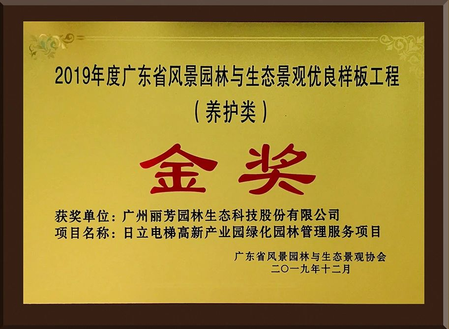 9001cc��ɳ�Գ�Ϊ��(�й�����)-�ٷ���վ