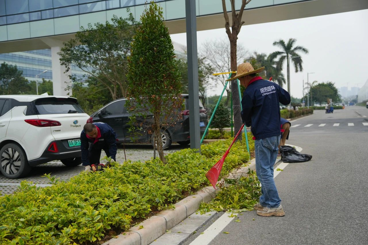 9001cc��ɳ�Գ�Ϊ��(�й�����)-�ٷ���վ