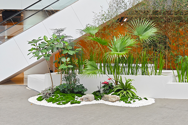 �����о�Ժ��ֲ���