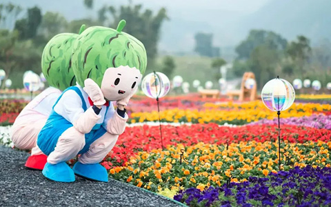 9001cc��ɳ�Գ�Ϊ���������� | ʰȤ��Ȼ������������԰����������������԰�ۺ����������!