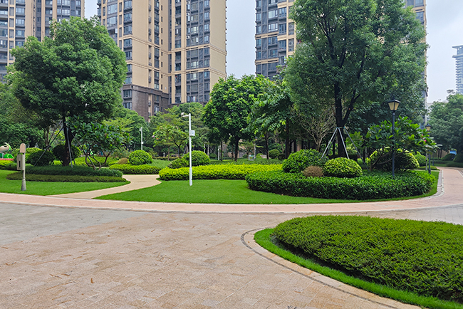 ��ï�̵����̻�����