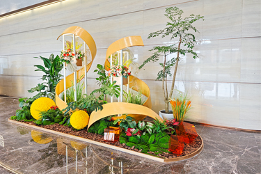 9001cc��ɳ�Գ�Ϊ����ֲ��ڡ������ƽ�ش���