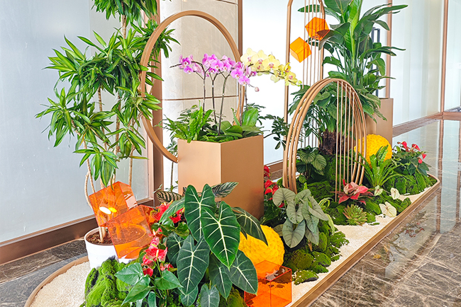 9001cc��ɳ�Գ�Ϊ����ֲ��ڡ������ƽ�ش���