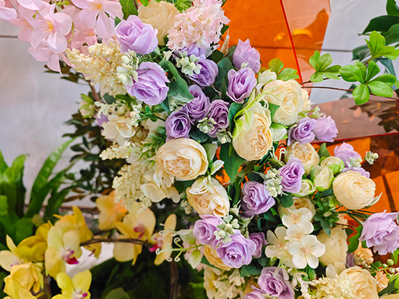 9001cc��ɳ�Գ�Ϊ����ֲ��ڡ������ƽ�ش���