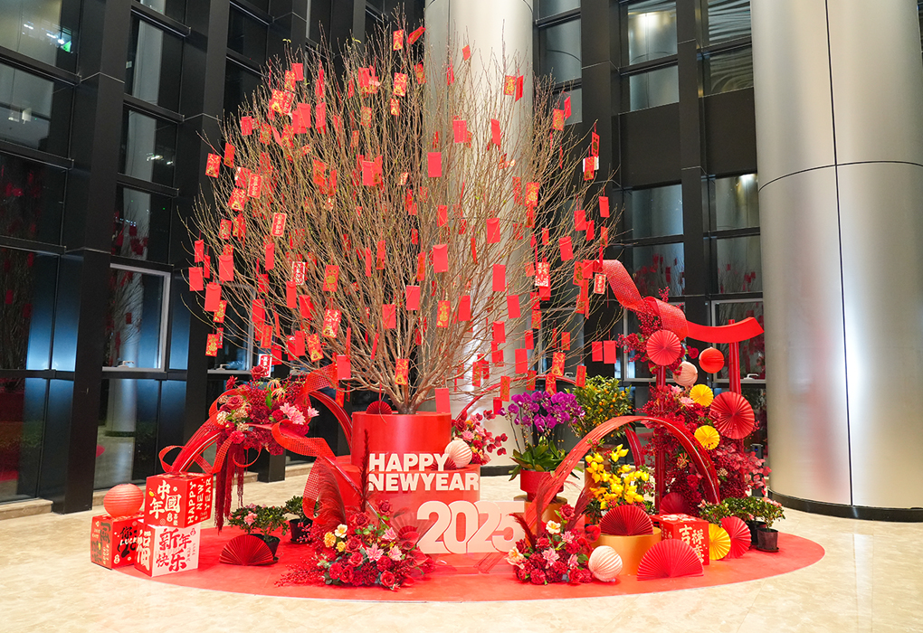 ����㳡�껨�������