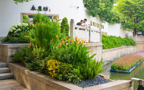 ������ư���������������9001cc��ɳ�Գ�Ϊ�����Ĵ������췻��Ī�λ�԰������ʢ��