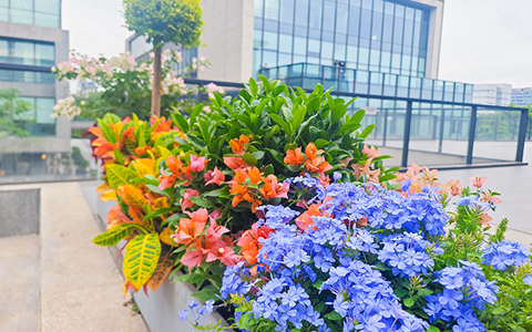 9001cc��ɳ�Գ�Ϊ������������ۿƼ�԰��������������������조�����͡���ҵ�ռ�