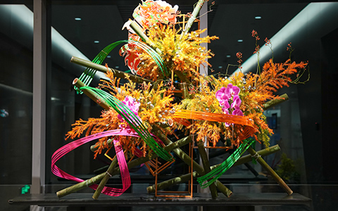 9001cc��ɳ�Գ�Ϊ������Ӫ��2025�������й������ʾۻỨ��ʢ��