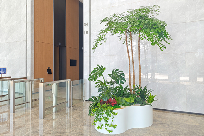 ����С�״�����ֲ���