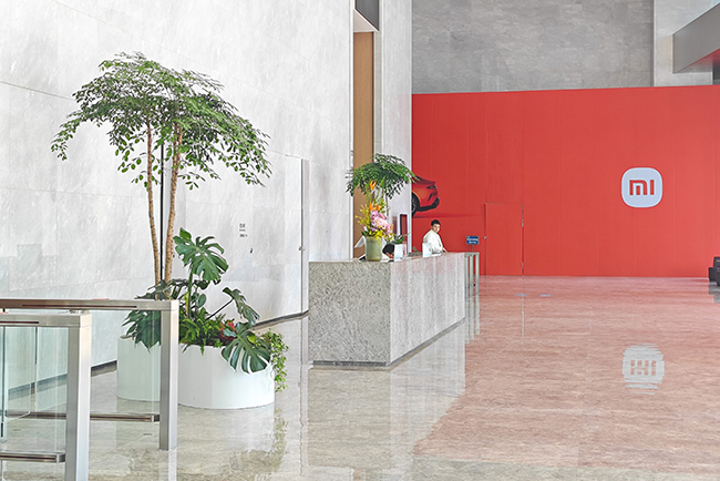 ����С�״�����ֲ���