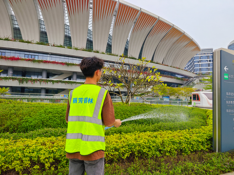 9001cc��ɳ�Գ�Ϊ��(�й�����)-�ٷ���վ