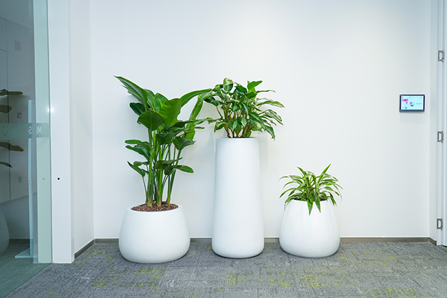 ������Ʒ������ֲ���