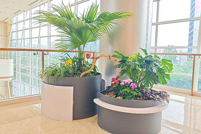 ��Ϊ�Ϸ�����԰���̻�����