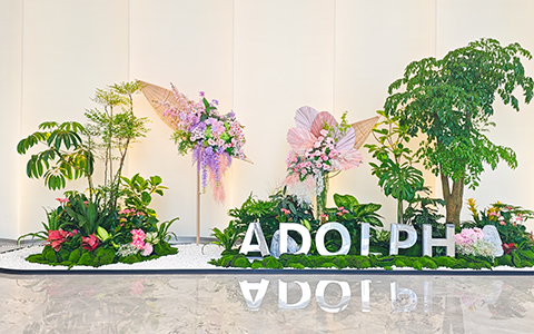 9001cc��ɳ�Գ�Ϊ������ֲ����Ϊ���������ܲ�������������������߶�����칫�·�ʽ