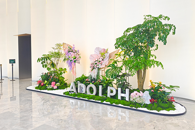 9001cc��ɳ�Գ�Ϊ����ֲ���ޡ����������ܲ���¥