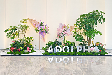 9001cc��ɳ�Գ�Ϊ����ֲ���ޡ����������ܲ���¥