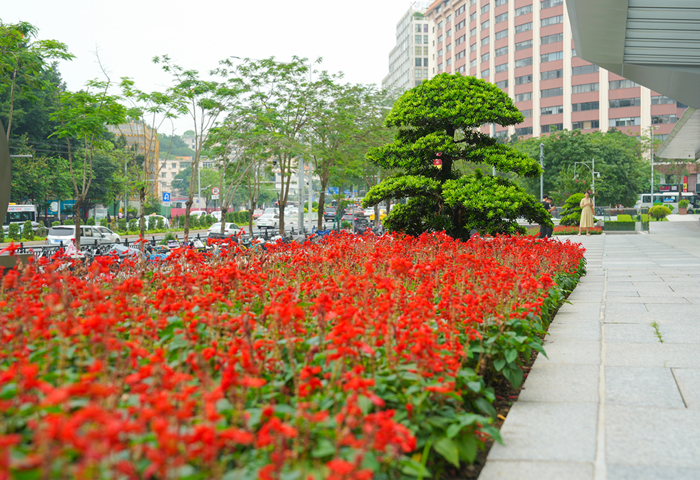 ����Խ����ʾۻ������̻�����