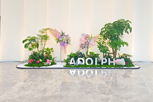 �����̻�����