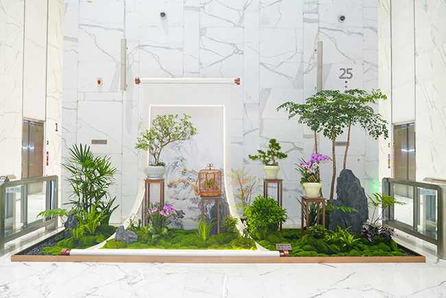 �����̻�����