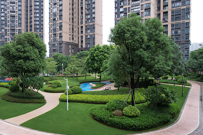 С���̻�����