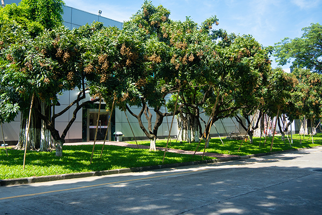 �����й�