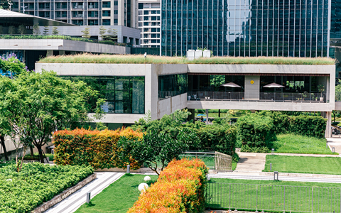 �̻��������� | ��������Ƴ���ƹ�����������������������Ȼ