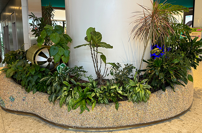 ��������Ƴ���ƹ���ֲ��������̻�����