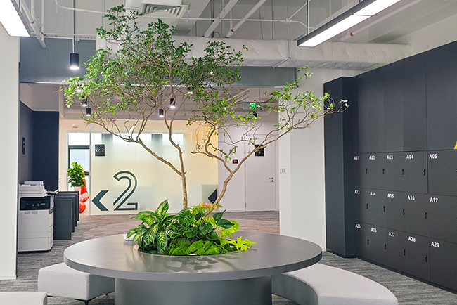 ��Ϸ��˾�ܲ���ֲ���