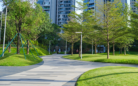 9001cc��ɳ�Գ�Ϊ��(�й�����)-�ٷ���վ